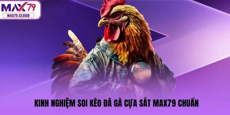 Kinh nghiệm soi kèo đá gà cựa sắt MAX79 chuẩn
